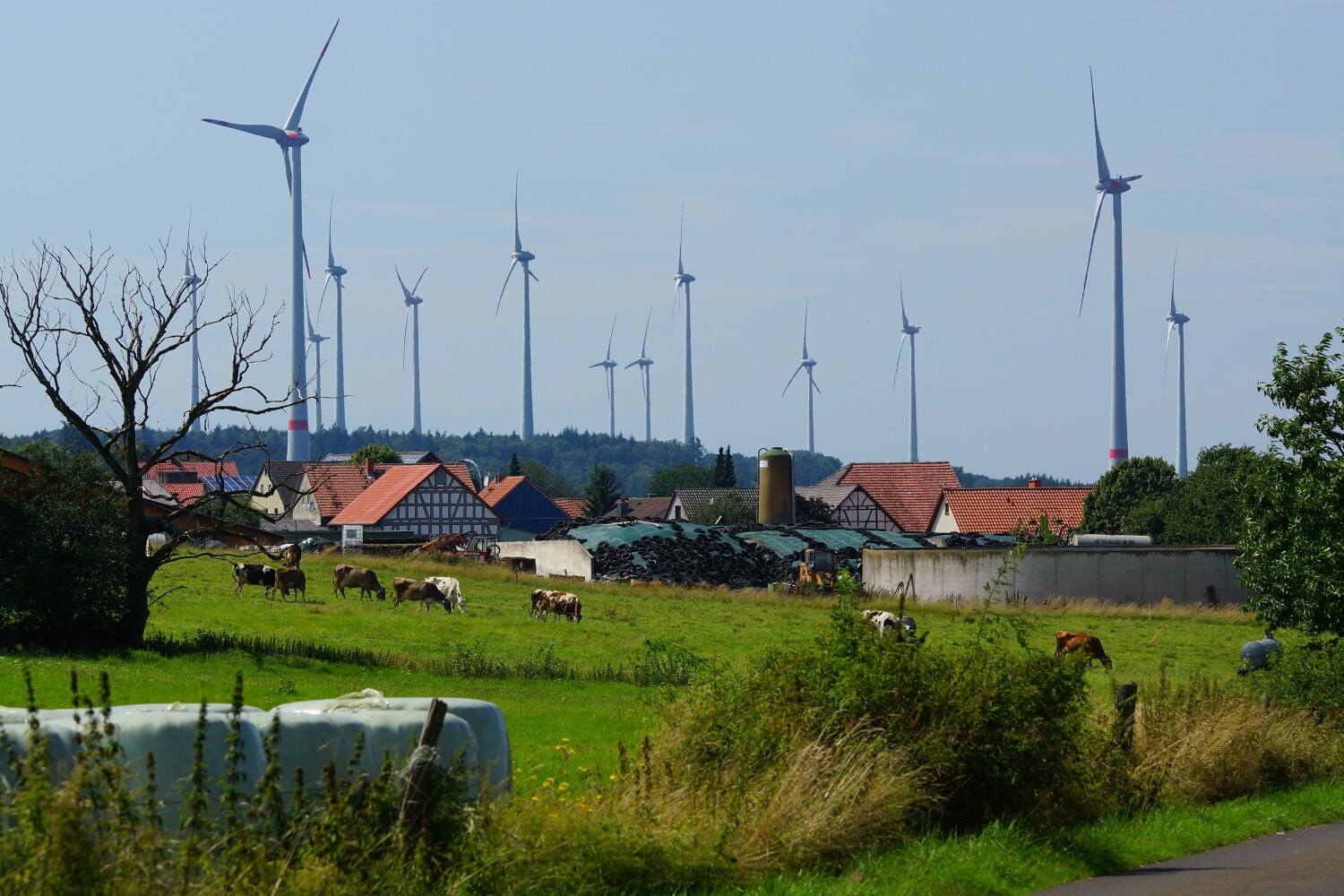 19 D HES VB Stumpertenrod DSC00510 2.jpg